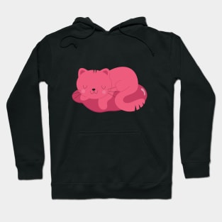 Cutie Sleeping Cat Hoodie